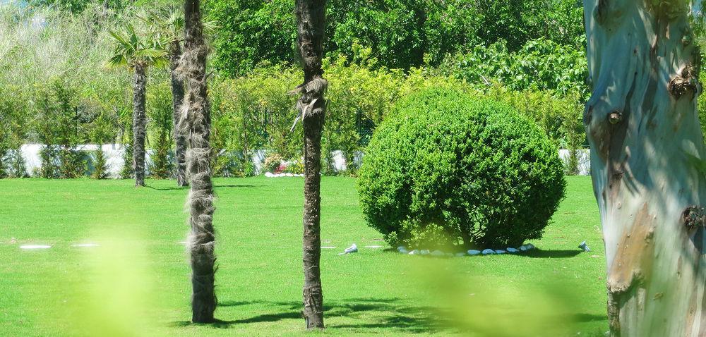 Hotel Eden Park Cilento Ispani Exterior foto